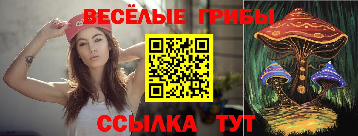 Черкесск  Псилоцибиновые грибы мицелий  Вход с VPN  Галлюциногенные грибы Psilocybe 